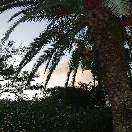 Roma Eur Bed & Breakfast Bagian luar foto